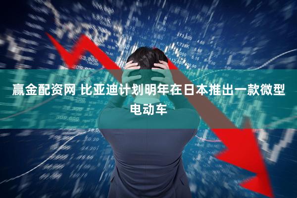 赢金配资网 比亚迪计划明年在日本推出一款微型电动车