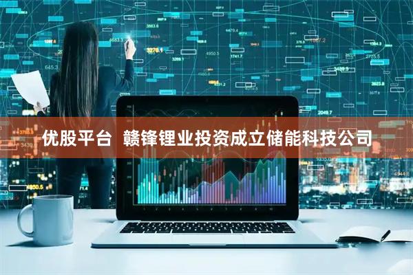 优股平台  赣锋锂业投资成立储能科技公司