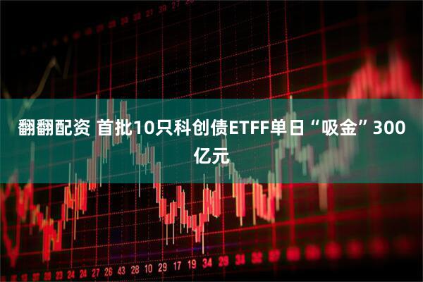 翻翻配资 首批10只科创债ETFF单日“吸金”300亿元