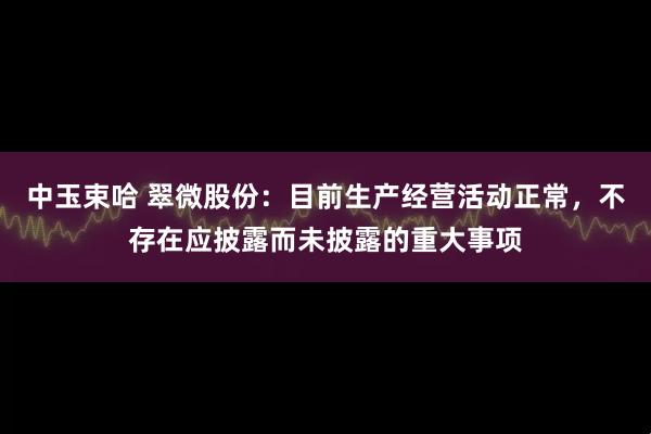 中玉束哈 翠微股份:目前生产经营活动正常,不存在应披露而未披露的重大事项